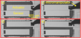 MEMS Sensors and Actuators