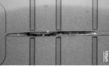 Mechanical Manipulation of Biology